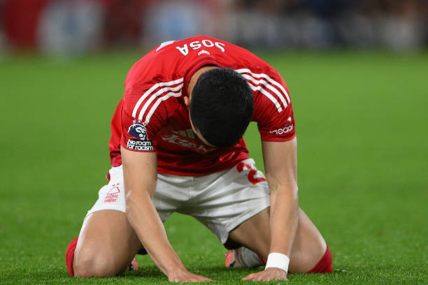 在重建的球 在重建的球