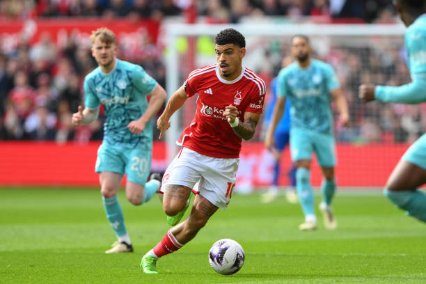 了极具吸引 了极具吸引