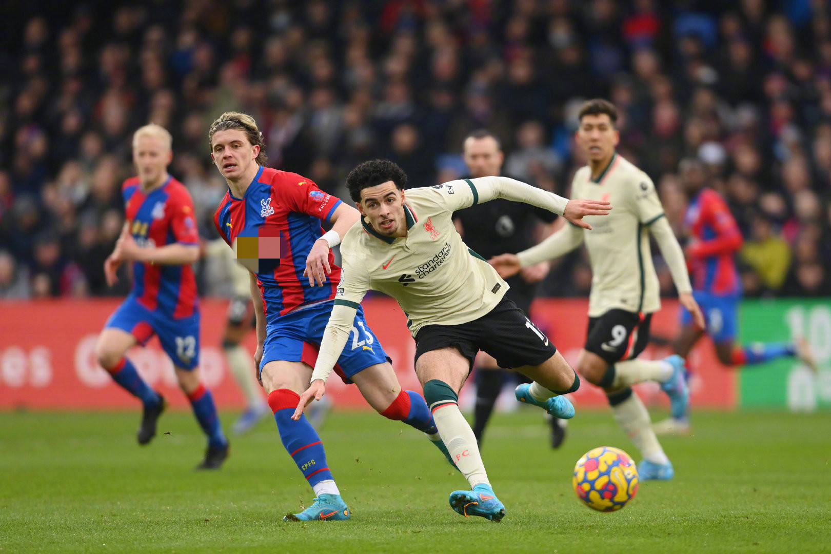 自己所能做 自己所能做